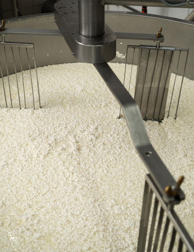 Precision Fermentation Market Analysis, Size, and Forecast 2025-2029: North America (US and Canada), Europe (France, Germany, Italy, Spain, UK), APAC (China, Japan, South Korea), South America , and Middle East and Africa