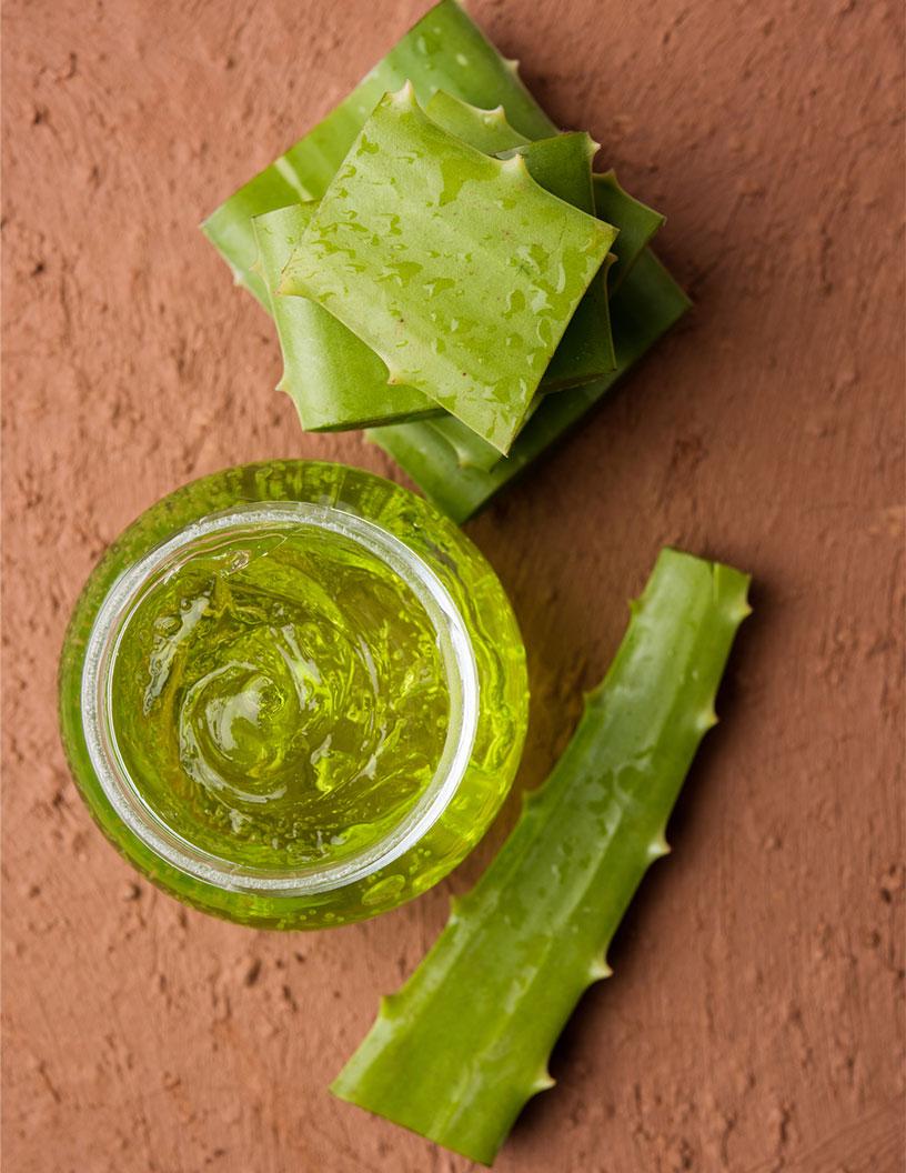 Aloe Vera Extracts Market Analysis APAC, North America, Europe, South America, Middle East and Africa - US, China, Japan, Canada, India, UK, Germany, South Korea, Italy, France - Size and Forecast 2025-2029