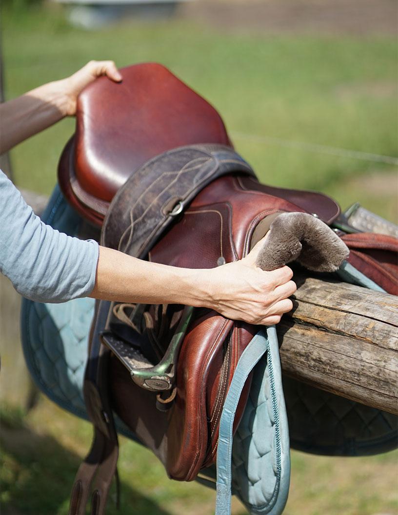 Harness Saddlery Equipment Market Analysis North America, Europe, APAC, South America, Middle East and Africa - US, Canada, UK, Germany, France, Italy, The Netherlands, China, Japan, India - Size and Forecast 2025-2029