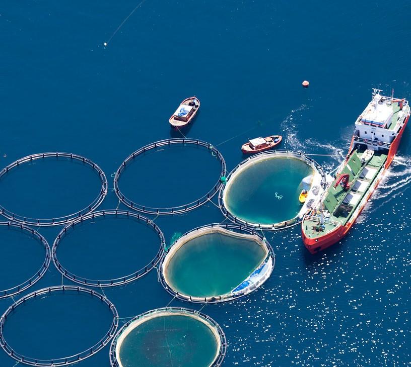 Fishing Aquaculture Nets Market Analysis, Size, and Forecast 2025-2029: North America (US and Canada), Europe (France, Germany, and UK), APAC (China, India, South Korea, Thailand, and Vietnam), and Rest of World (ROW)