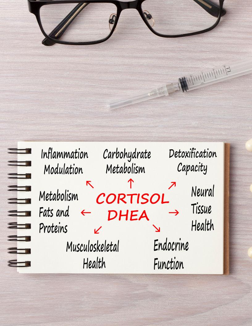 Cushing Syndrome Market Analysis North America, Europe, Asia, Rest of World (ROW) - US, Canada, Mexico, Germany, UK, Italy, The Netherlands, France, Japan, China - Size and Forecast 2025-2029