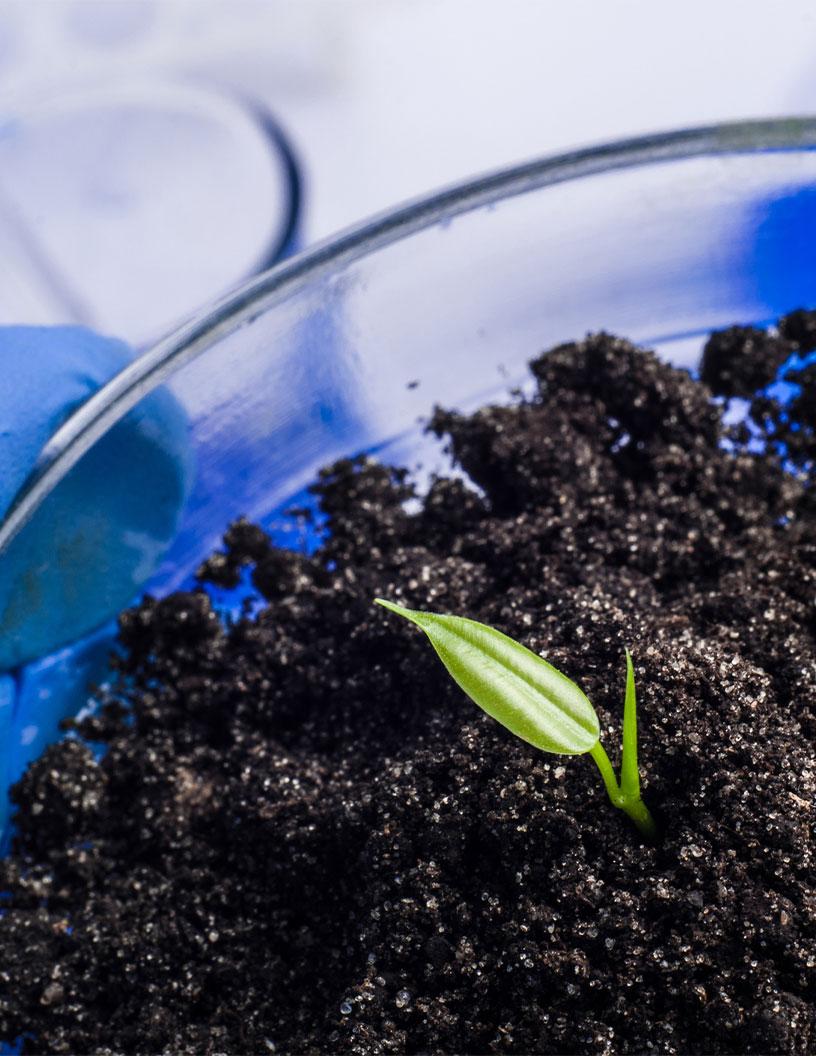 Microbial Agricultural Inoculants Market Analysis North America, Europe, APAC, South America, Middle East and Africa - US, UK, Canada, Germany, China, France, Japan, Italy, India, Brazil - Size and Forecast 2025-2029