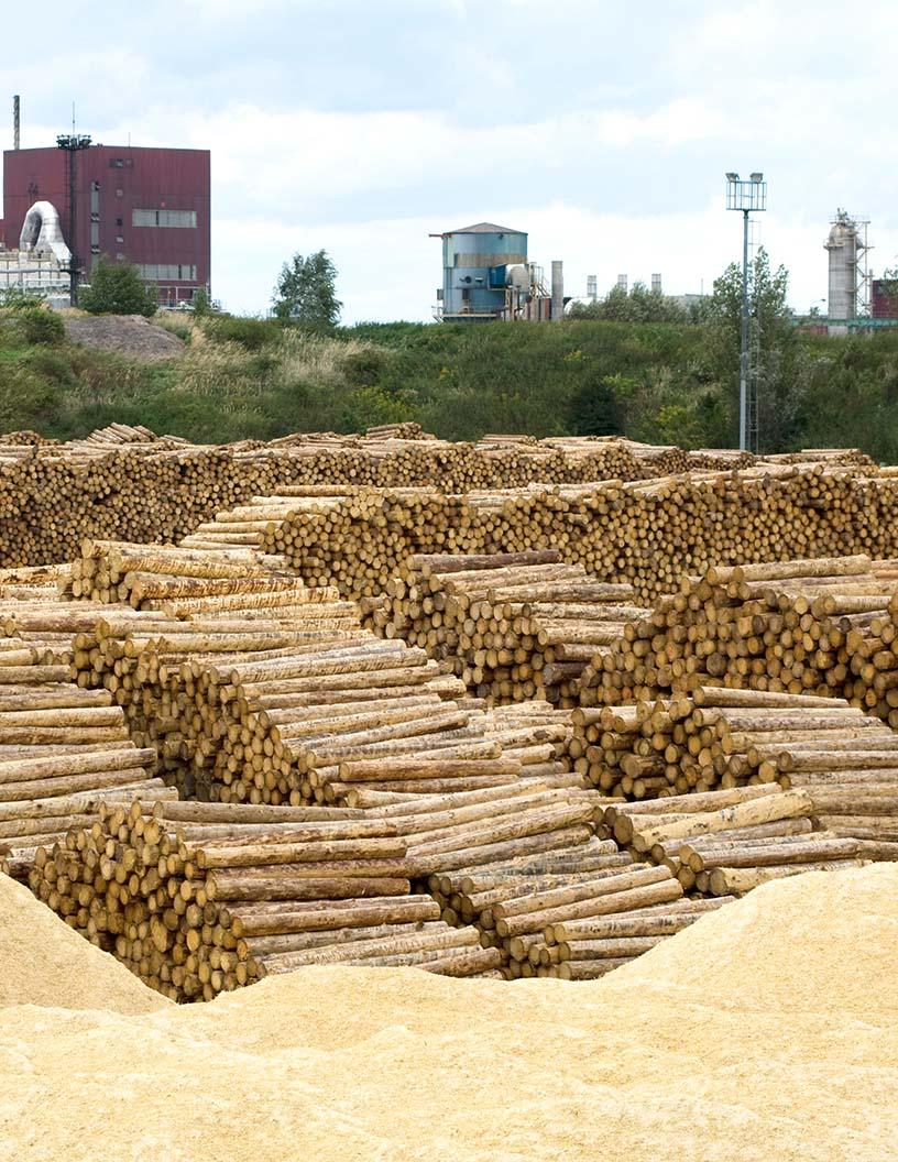 Dissolving Wood Pulp (DWP) Market Analysis, Size, and Forecast 2025-2029: North America (US and Canada), Europe (Austria, Finland, Germany, and Sweden), APAC (China, India, and Japan), South America (Brazil), and Rest of World (ROW)