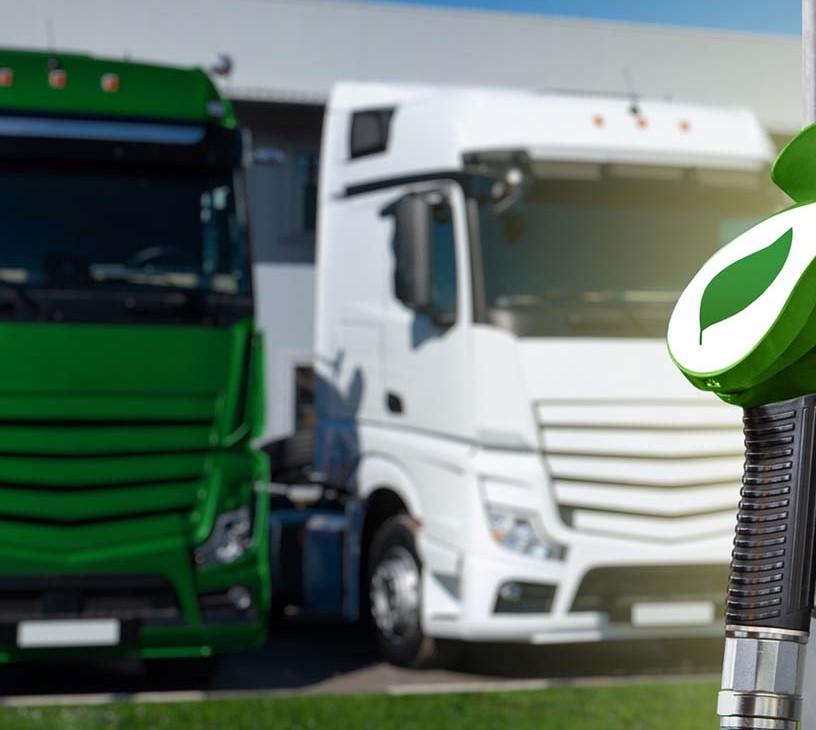 Dimethyl Carbonate Market Analysis, Size, and Forecast 2025-2029: North America (US and Canada), Europe (France, Germany, Italy, and UK), APAC (China, India, Japan, and South Korea), and Rest of World (ROW)