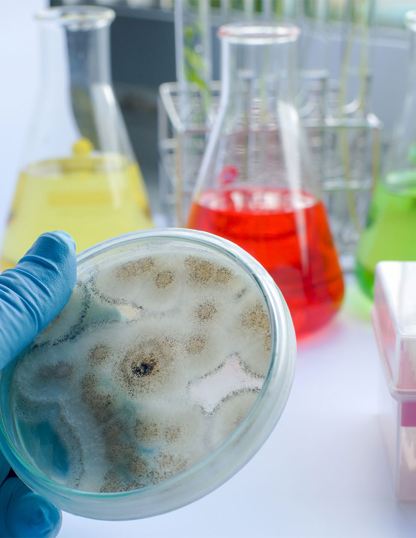 Biocides Market Analysis, Size, and Forecast 2024-2028: North America (US and Canada), Europe (France, Germany, Italy, and UK), Middle East and Africa (Egypt, KSA, Oman, and UAE), APAC (China, India, and Japan), South America (Argentina and Brazil), and Rest of World (ROW)