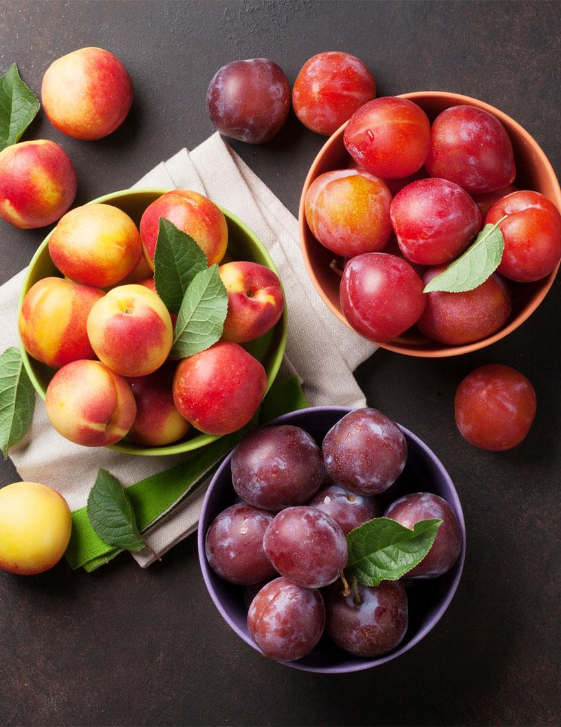 Stone Fruit Market Analysis APAC, Europe, North America, Middle East and Africa, South America - China, US, Spain, Italy, India, France, South Korea, Germany, Brazil, Canada - Size and Forecast 2025-2029