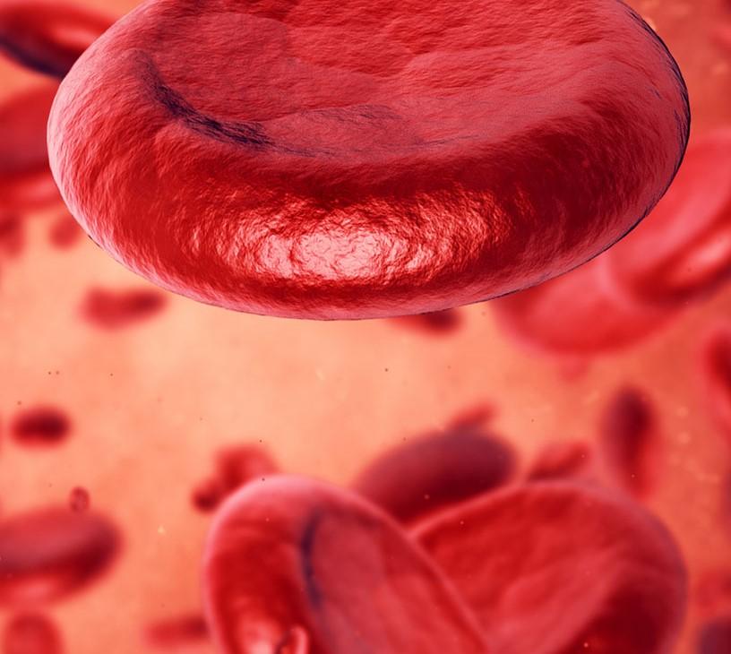 Red Biotechnology Market Analysis, Size, and Forecast 2025-2029: North America (US and Canada), Europe (France, Germany, Italy, and UK), APAC (China, India, Japan, and South Korea), and Rest of World (ROW)