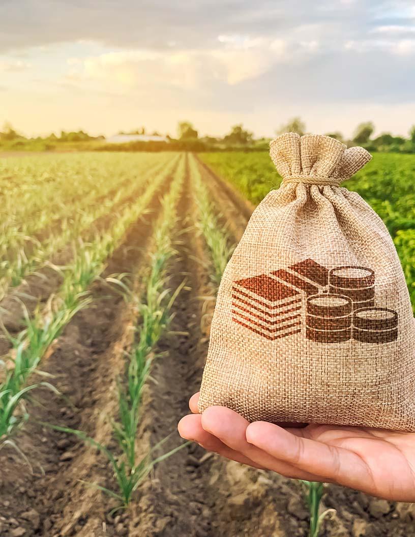 Agribusiness Market Analysis, Size, and Forecast 2025-2029: APAC (China, India, Japan, South Korea), North America (US and Canada), Europe (France, Germany, UK), South America (Argentina and Brazil), and Middle East and Africa (UAE)