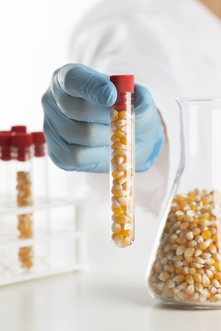 Hydrolyzed Corn Protein Market Analysis Europe, North America, APAC, South America, Middle East and Africa - US, Canada, China, UK, Italy - Size and Forecast 2024-2028
