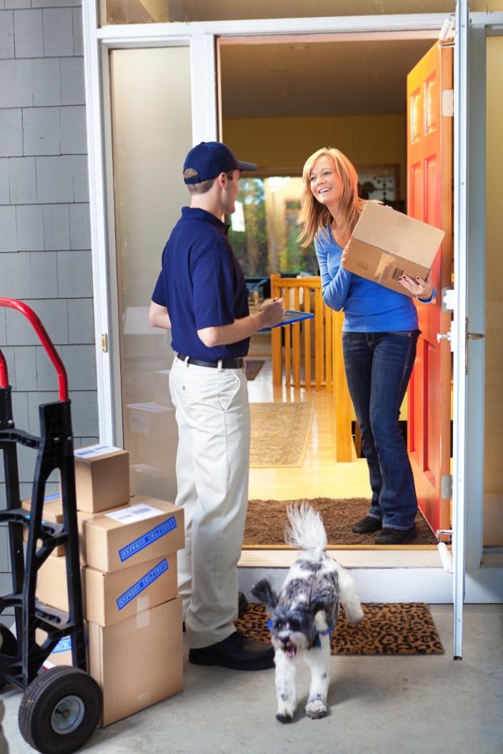 Ecommerce Fulfillment Service Market Analysis, Size, and Forecast 2025-2029: North America (US and Canada), Europe (France, Germany, and UK), APAC (China, India, Japan, and South Korea), South America (Brazil), and Rest of World (ROW)