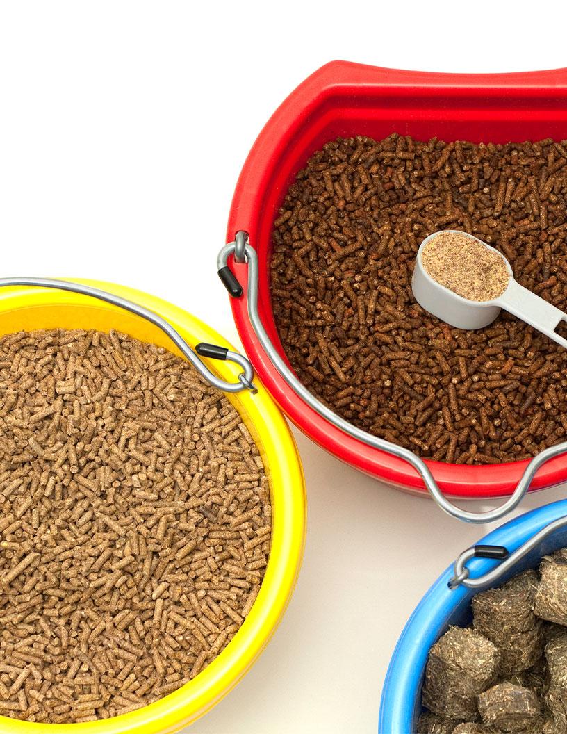 Equine Supplement Products Market Analysis, Size, and Forecast 2025-2029: North America (US and Canada), Europe (France, Germany, Italy, and UK), APAC (Australia, China, India, and Japan), and Rest of World (ROW)