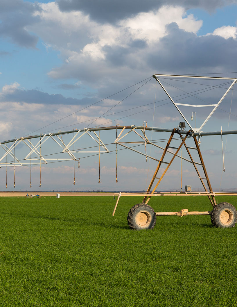 Autonomous Crop Management Market Analysis, Size, and Forecast 2024-2028: North America (US and Canada), Europe (France, Germany, Italy, and UK), Middle East and Africa (Egypt, KSA, Oman, and UAE), APAC (China, India, and Japan), South America (Argentina and Brazil), and Rest of World (ROW)