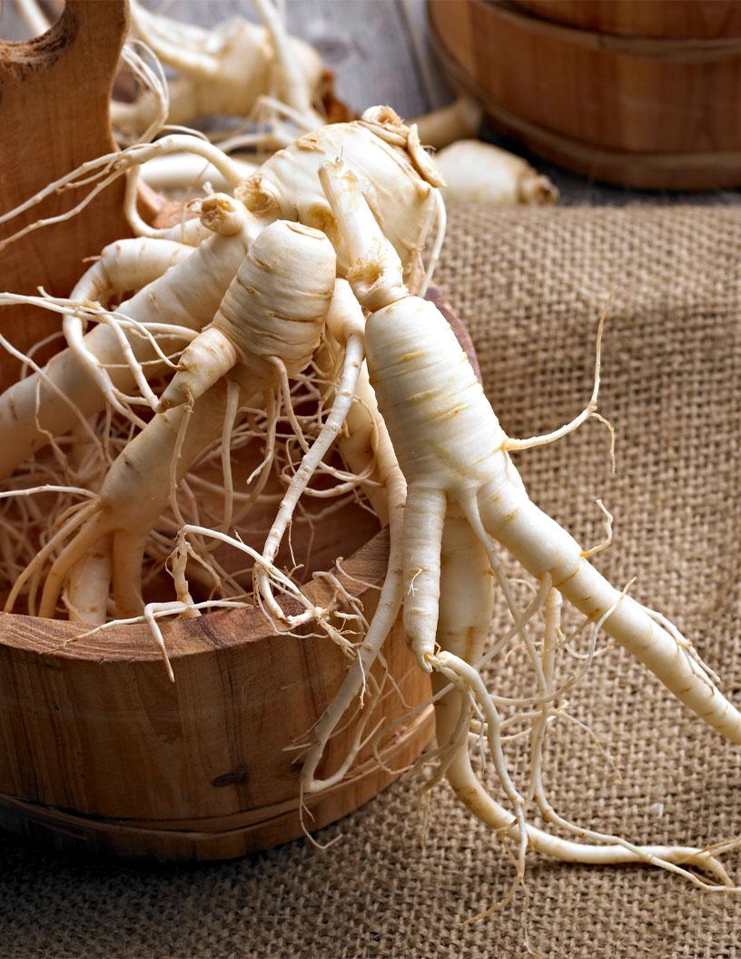 Ginseng Market Analysis, Size, and Forecast 2025-2029: APAC (China, India, Japan, South Korea), North America (US and Canada), Europe (France, Germany, Italy, UK), South America , and Middle East and Africa