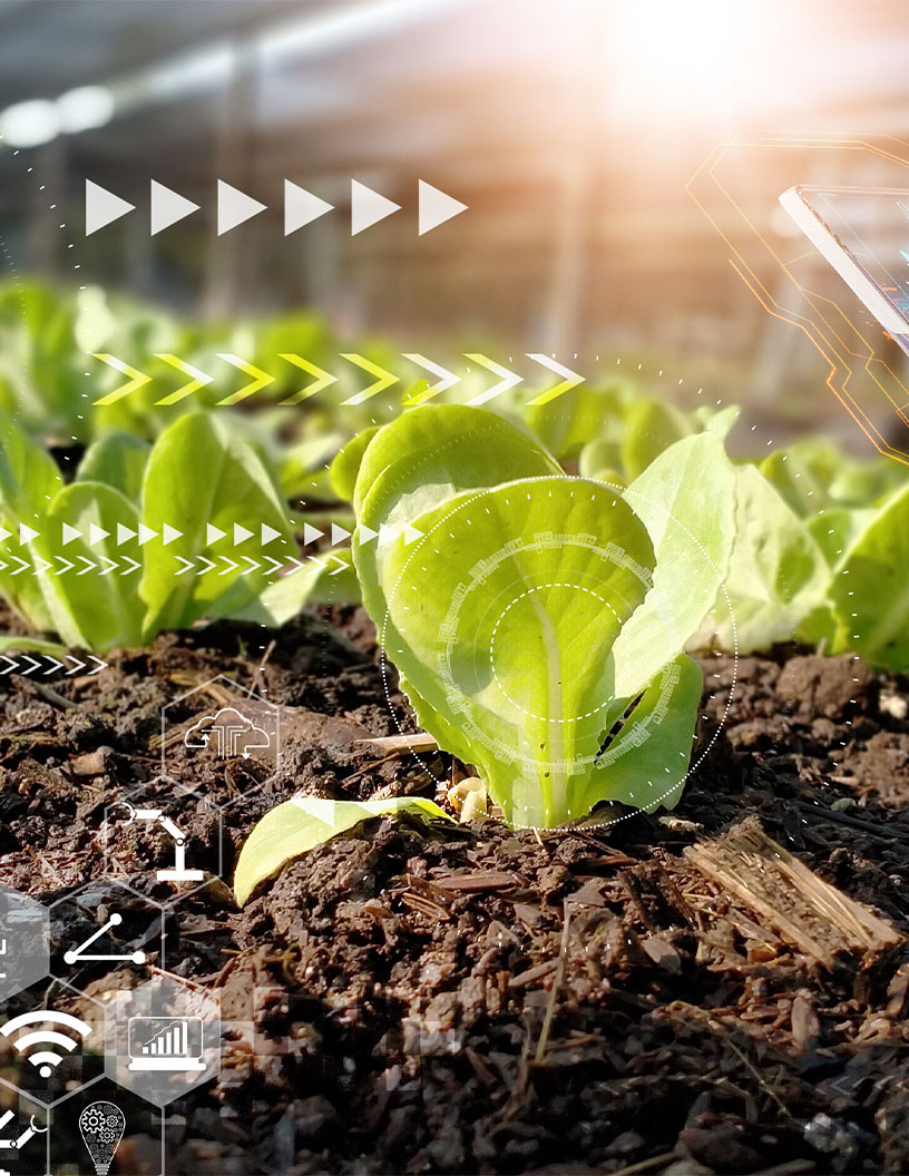 Crop Production Software Market Analysis North America, Europe, APAC, South America, Middle East and Africa - US, China, Australia, UK, Germany - Size and Forecast 2024-2028