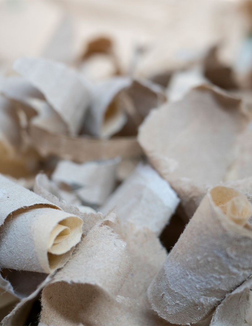 Bleached Kraft Pulp Market Analysis APAC, Europe, North America, South America, Middle East and Africa - US, China, Japan, Germany, UK - Size and Forecast 2024-2028