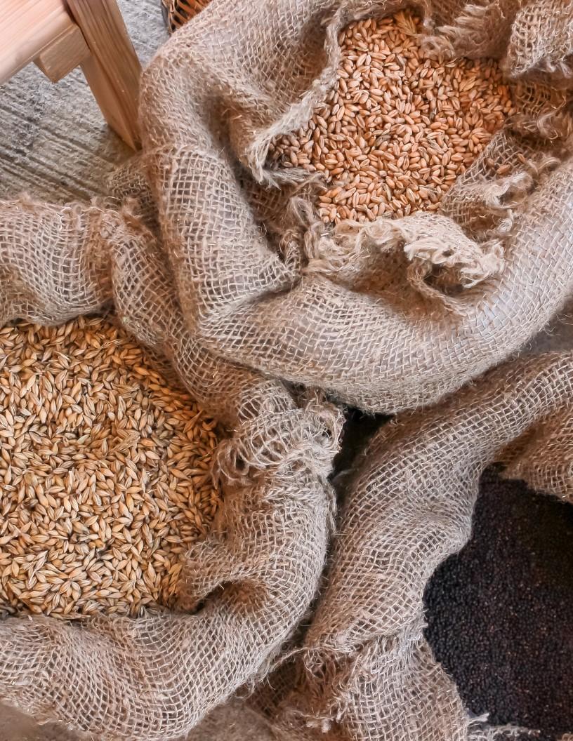 Canola Meal Market Analysis, Size, and Forecast 2025-2029: North America (US), Europe (France, Germany, Italy, Spain, and UK), APAC (China, India, Japan, and South Korea), and Rest of World (ROW)