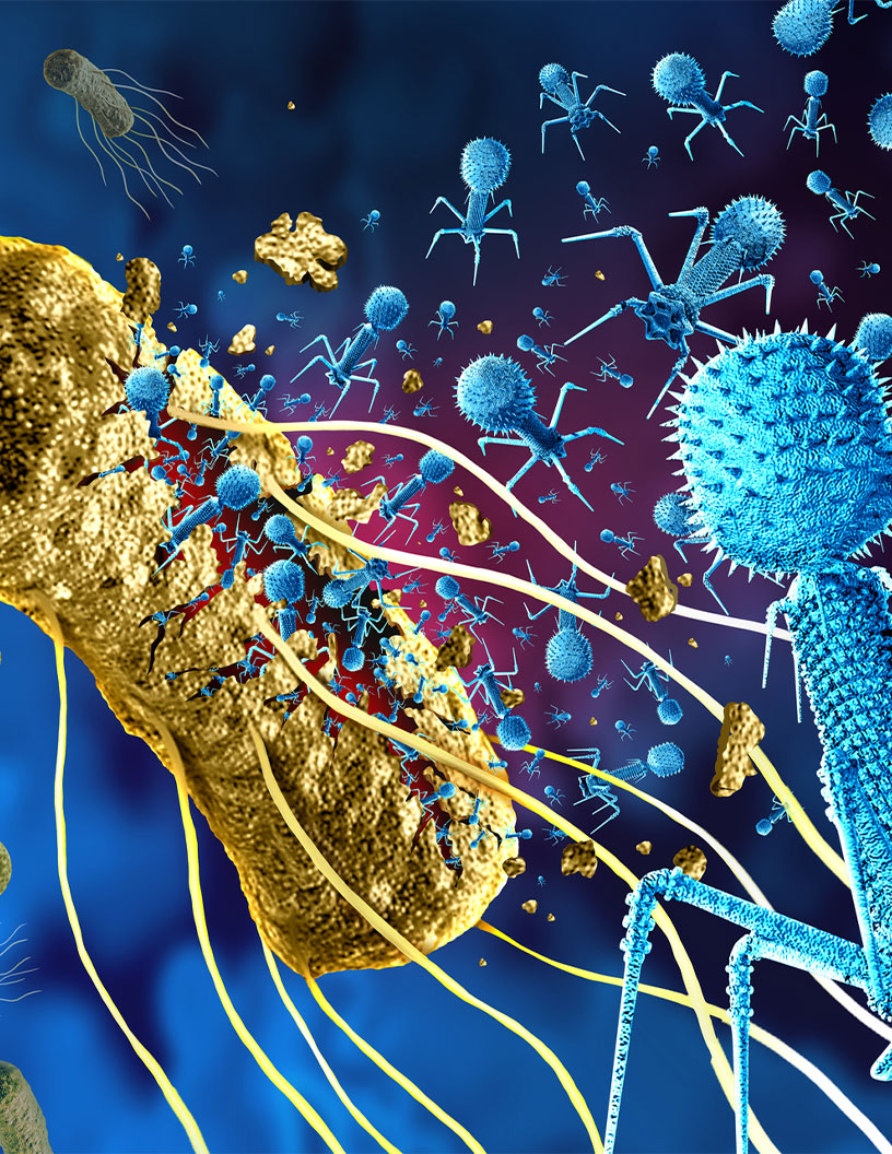 Phage Therapy Market Analysis, Size, and Forecast 2024-2028: North America (US and Canada), Europe (France, Poland, Netherlands, and UK), Middle East and Africa (UAE), APAC (China, India, Japan, and South Korea), South America (Brazil), and Rest of World (ROW)