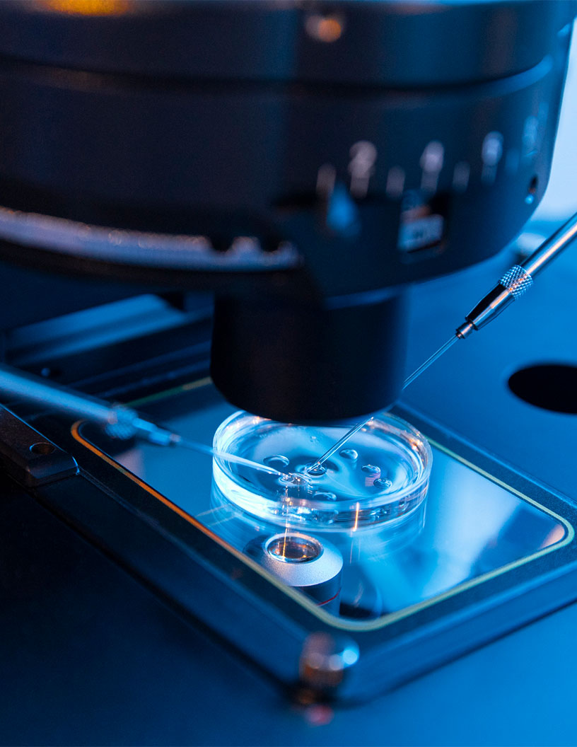 Sperm Analytical Devices Market Analysis Europe, North America, Asia, Rest of World (ROW) - US, Canada, Germany, UK, China - Size and Forecast 2024-2028