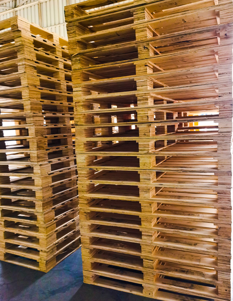 Corrugated Pallets Market Analysis APAC, North America, Europe, South America, Middle East and Africa - US, China, Japan, Germany, France - Size and Forecast 2024-2028