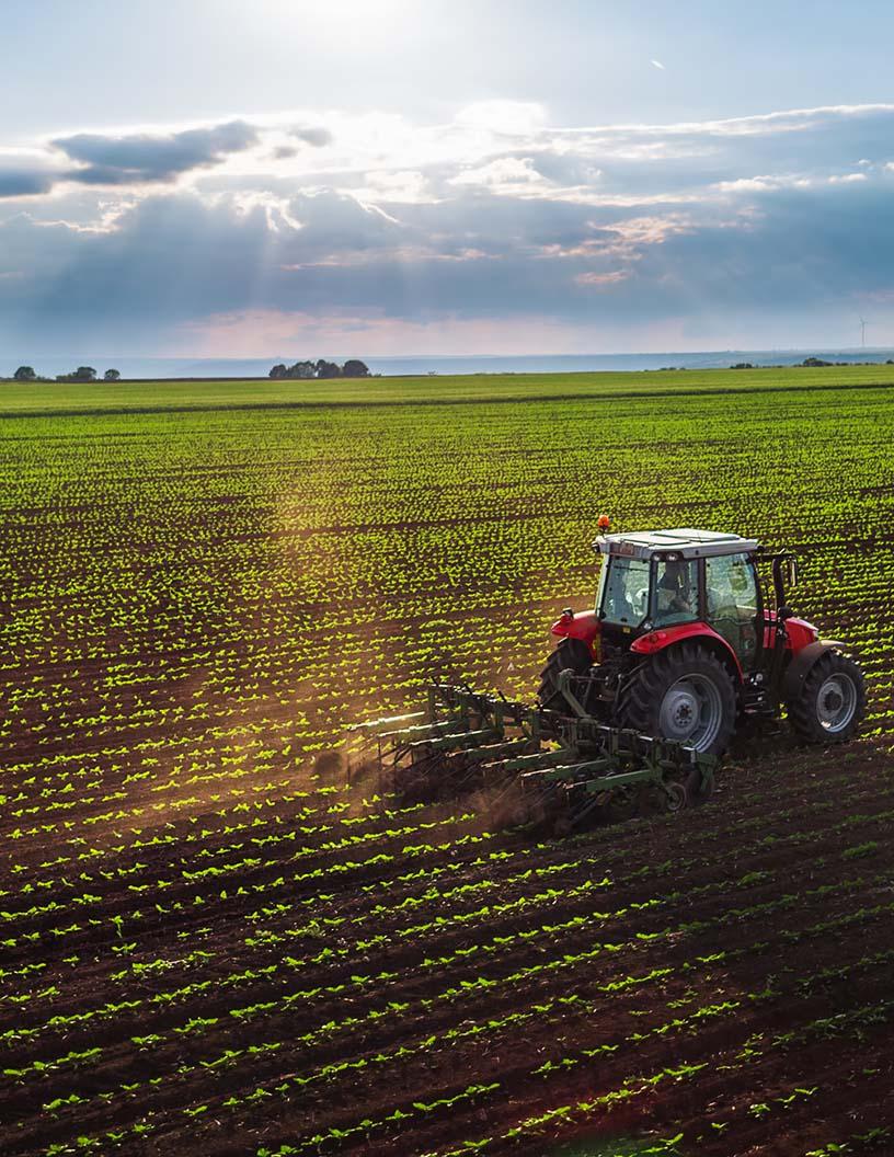 Europe Agricultural Tractor Machinery Market Analysis, Size, and Forecast 2025-2029: Europe (France, Germany, Italy, UK)