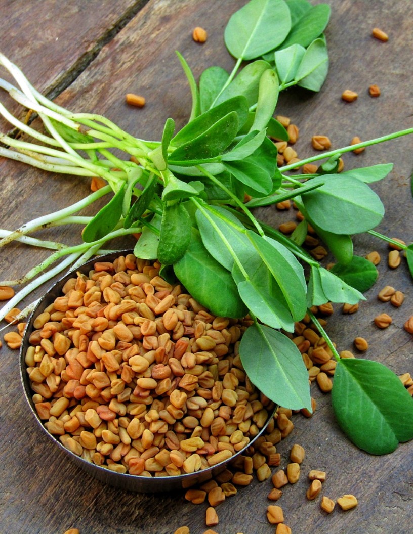 Vegetable Seeds Market Analysis APAC, North America, Europe, South America, Middle East and Africa - US, Canada, China, France, Brazil - Size and Forecast 2024-2028