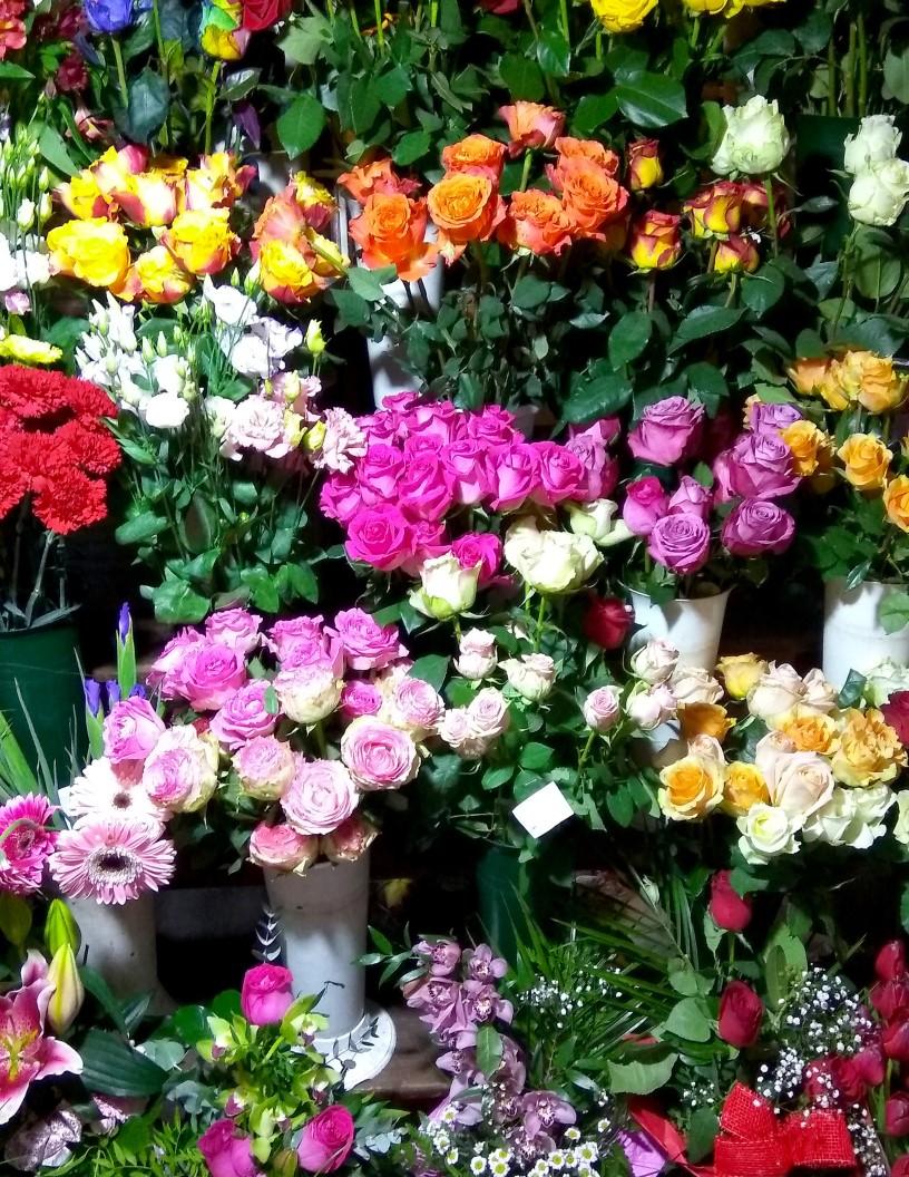 Cut Flowers Market Analysis, Size, and Forecast 2025-2029: Europe (France, Germany, Italy, The Netherlands, UK), North America (US and Canada), APAC (China, India, Japan), South America , and Middle East and Africa