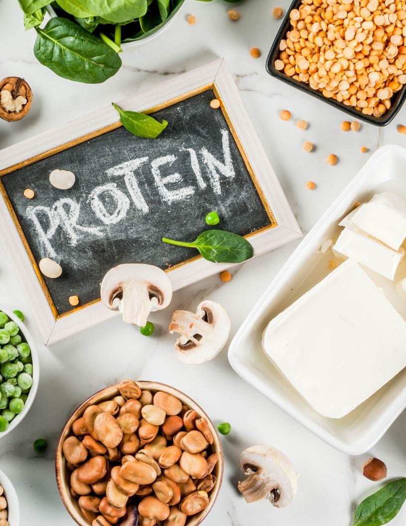 Protein Market Analysis, Size, and Forecast 2025-2029: North America (US), Europe (France, Germany, Italy, and UK), APAC (Australia, China, India, Japan, and South Korea), and Rest of World (ROW)