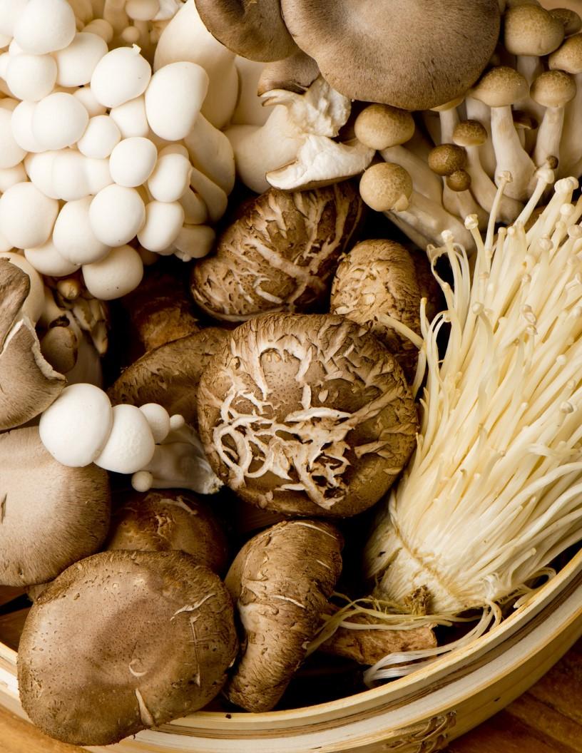 Functional Mushroom Market Analysis, Size, and Forecast 2025-2029: North America (US and Canada), Europe (France, Germany, Italy, and UK), Middle East and Africa (Egypt, KSA, Oman, and UAE), APAC (China, India, and Japan), South America (Argentina and Brazil), and Rest of World (ROW)