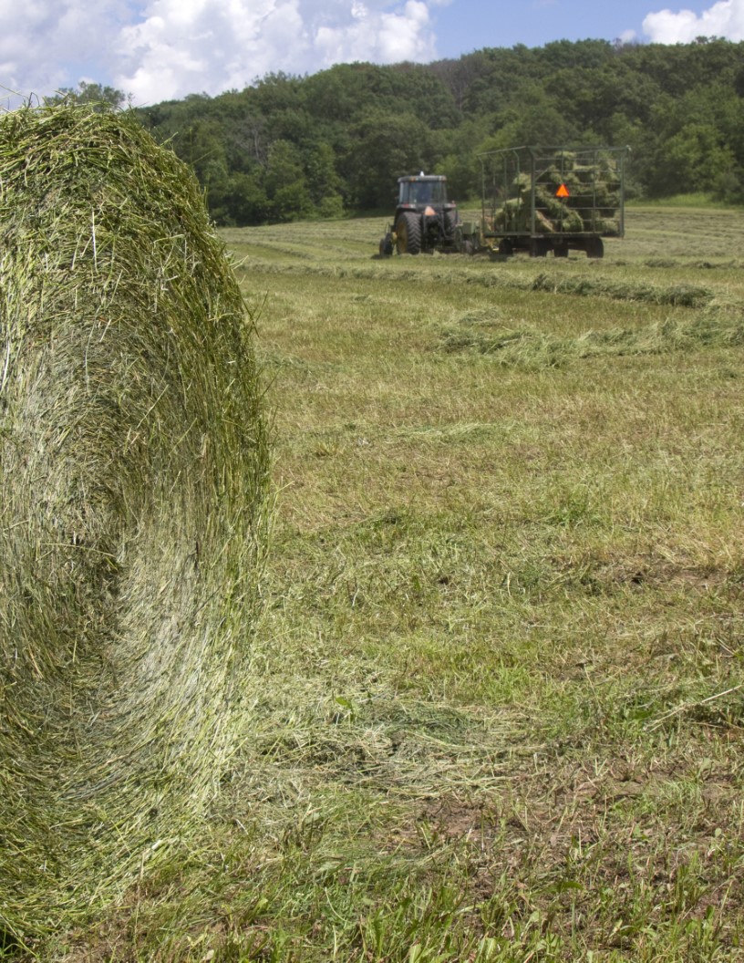 Haying Machinery Market Analysis Europe, North America, APAC, South America, Middle East and Africa - US, China, France, Germany, Italy - Size and Forecast 2024-2028