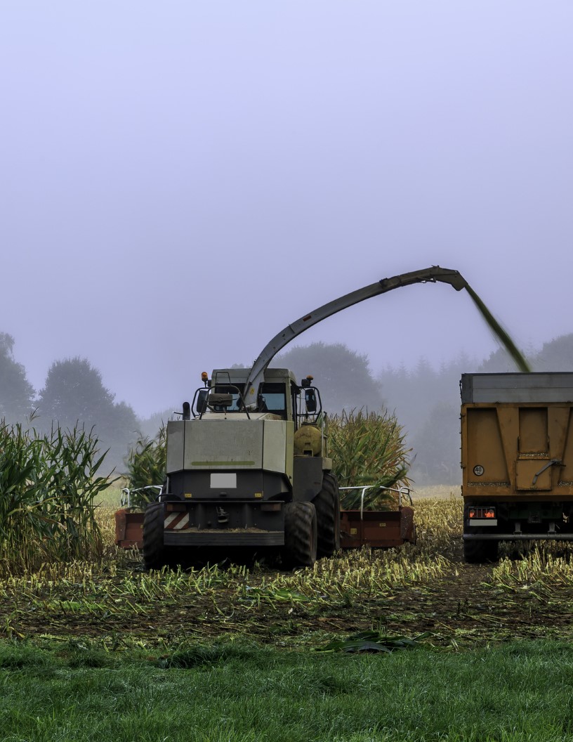 Forage Machinery Market Analysis Europe, North America, APAC, South America, Middle East and Africa - US, China, France, Germany, Italy - Size and Forecast 2024-2028