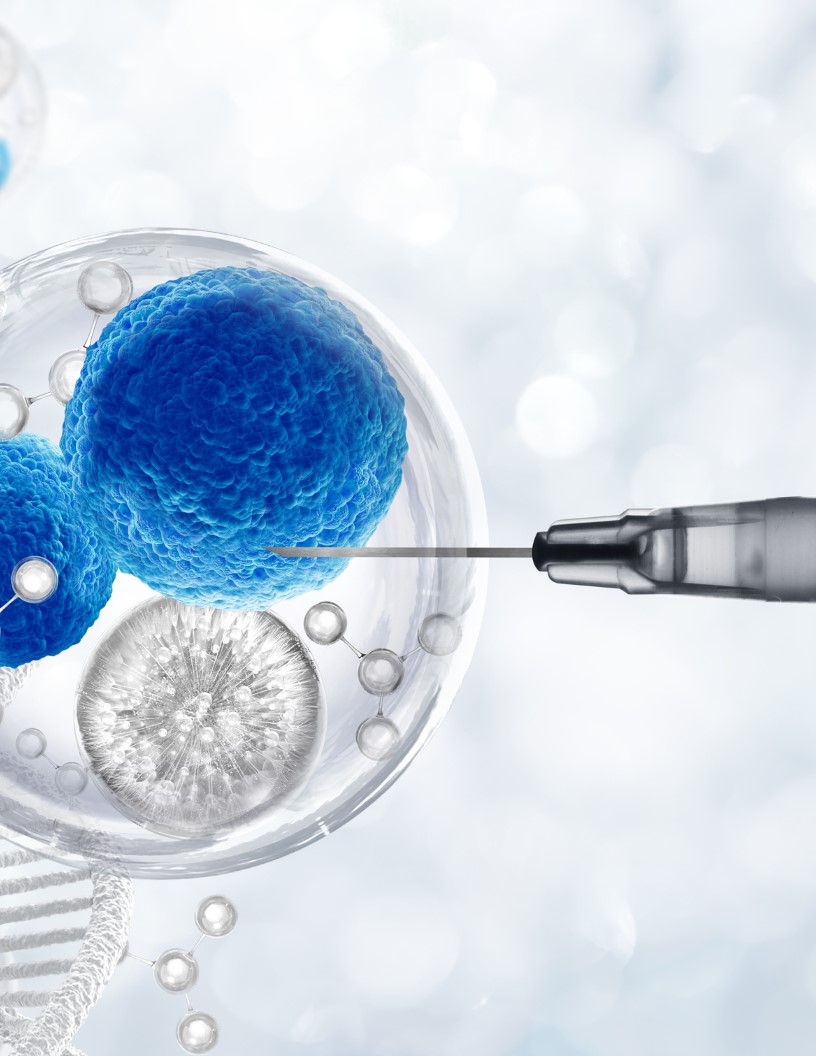 Americas Immunochemistry Market Analysis Americas - Size and Forecast 2024-2028