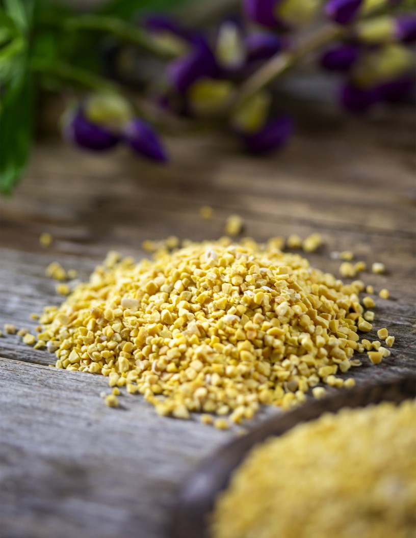 Lupin Protein Market Analysis, Size, and Forecast 2024-2028: North America (Mexico), Europe (France, Germany, Italy, and UK), Middle East and Africa (UAE), APAC (Australia, China, India, Japan, and South Korea), South America (Brazil), and Rest of World (ROW)