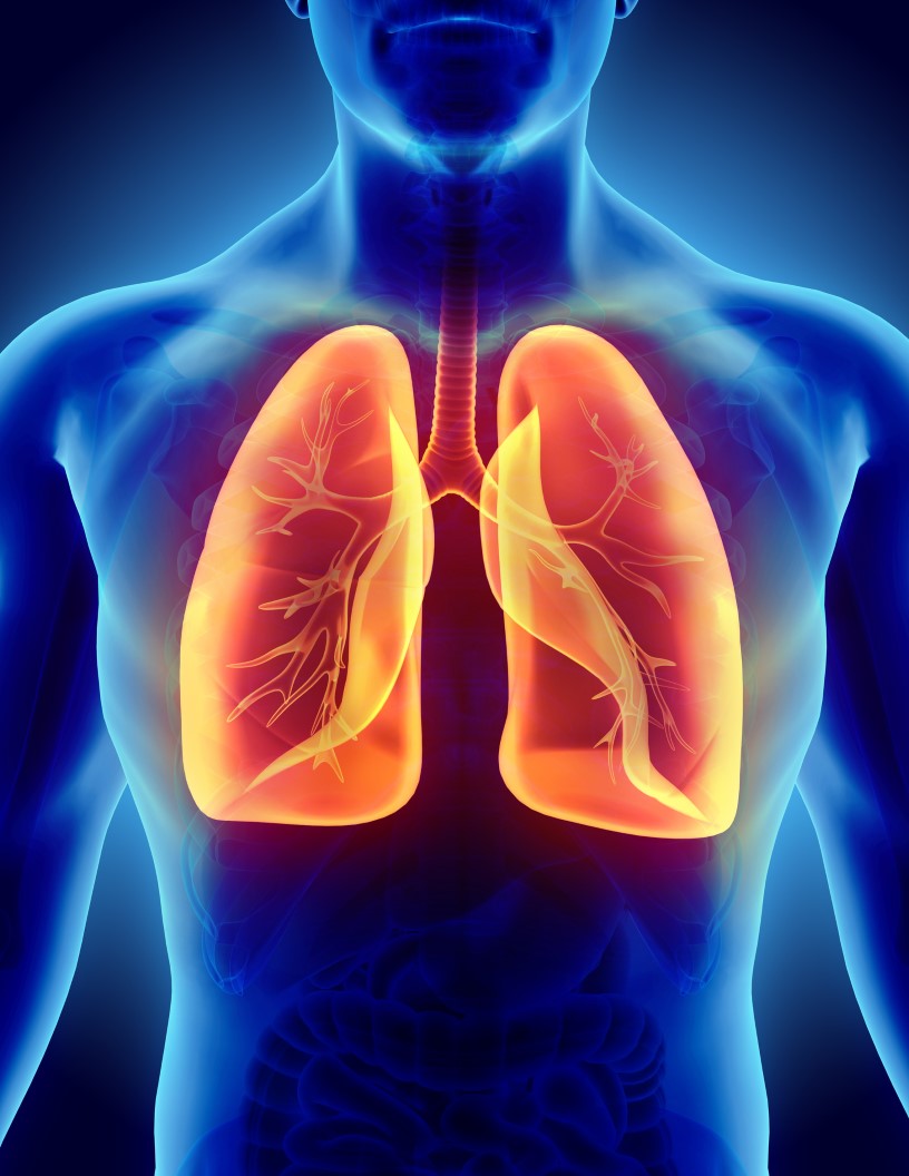 Primary Ciliary Dyskinesia Market Analysis Europe, North America, Asia, Rest of World (ROW) - US, UK, Canada, Germany, Japan, Switzerland - Size and Forecast 2024-2028