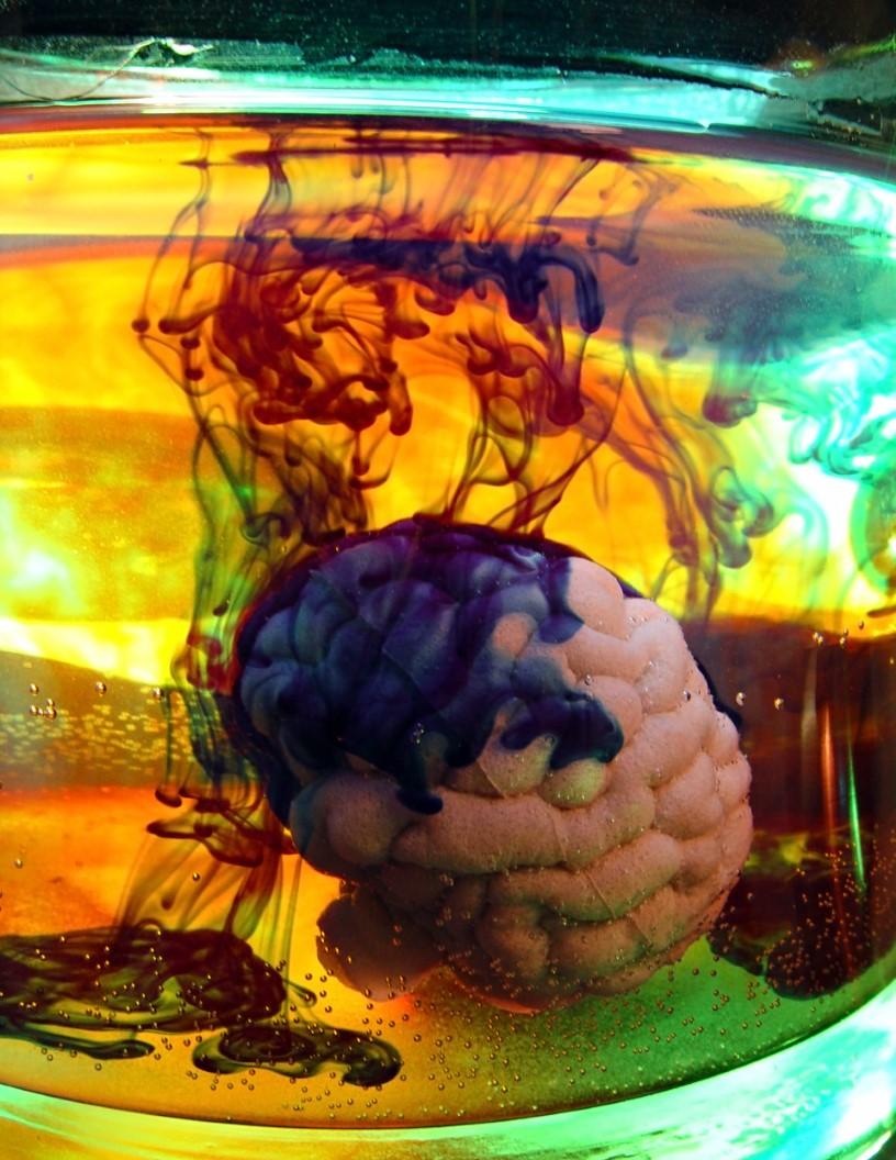 Psychedelic Drugs Market Analysis, Size, and Forecast 2025-2029: North America (US and Canada), Europe (France, Germany, Italy, and UK), APAC (China, India, and Japan), South America (Brazil), and Rest of World (ROW)