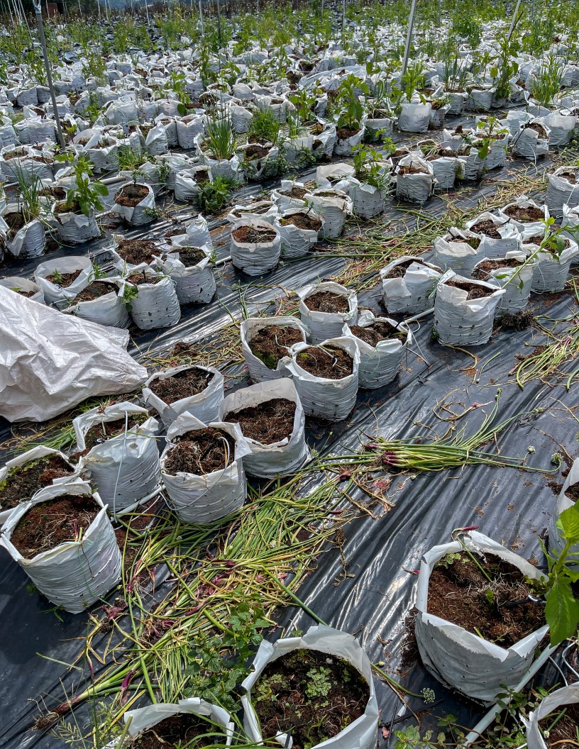 Bioplastics For Agribusiness Market Analysis Europe, APAC, North America, South America, Middle East and Africa - US, China, Germany, France, UK, Italy - Size and Forecast 2024-2028