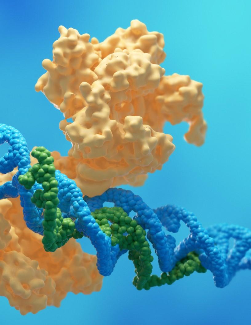 RNA Based Therapeutics Market Analysis Europe, North America, Asia, Rest of World (ROW) - US, China, Germany, UK, Japan - Size and Forecast 2024-2028