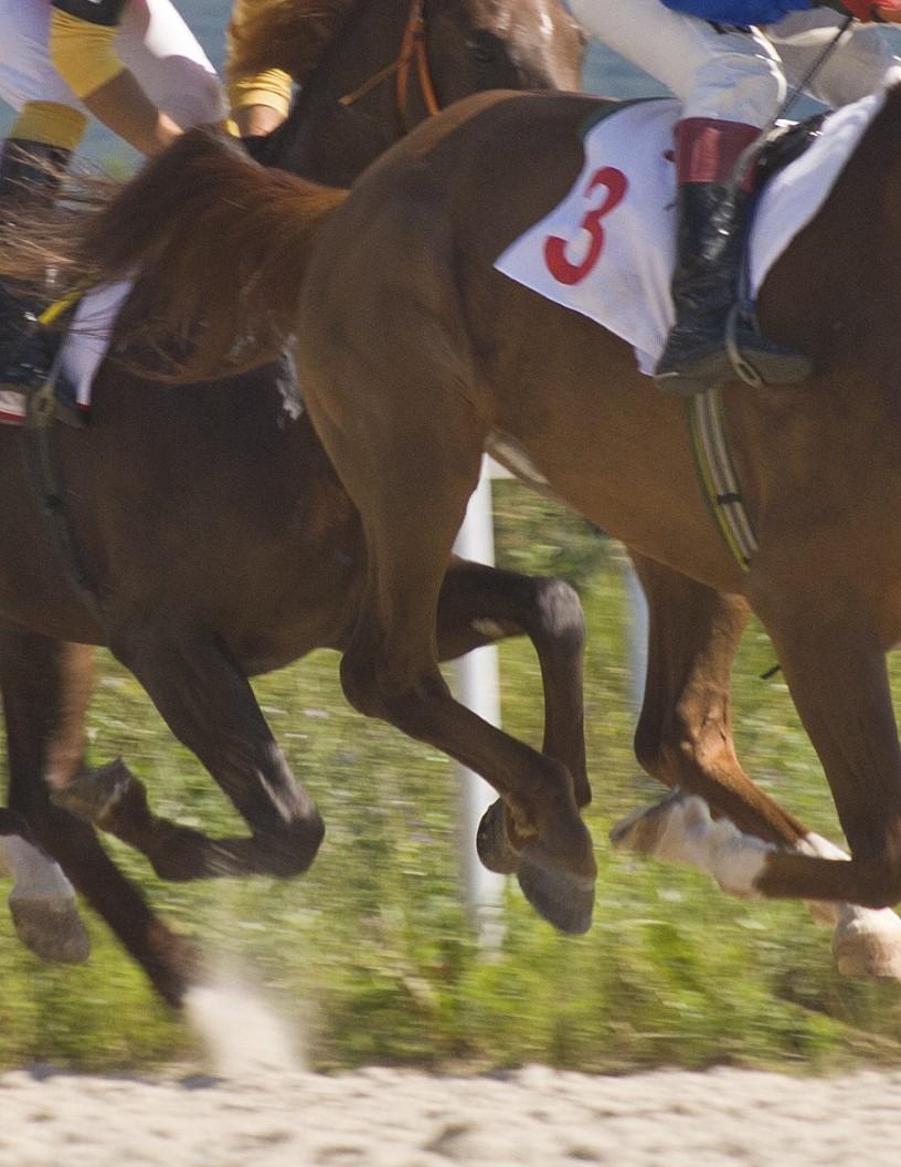 Horse Racing Market Analysis North America, Europe, APAC, Middle East and Africa, South America - US, UK, Australia, France, Japan - Size and Forecast 2024-2028
