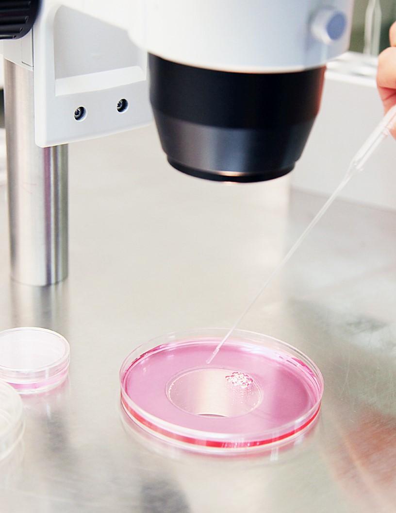 Sperm Separation Devices Market Analysis North America, Europe, Asia, Rest of World (ROW) - US, Germany, Japan, UK, China - Size and Forecast 2024-2028