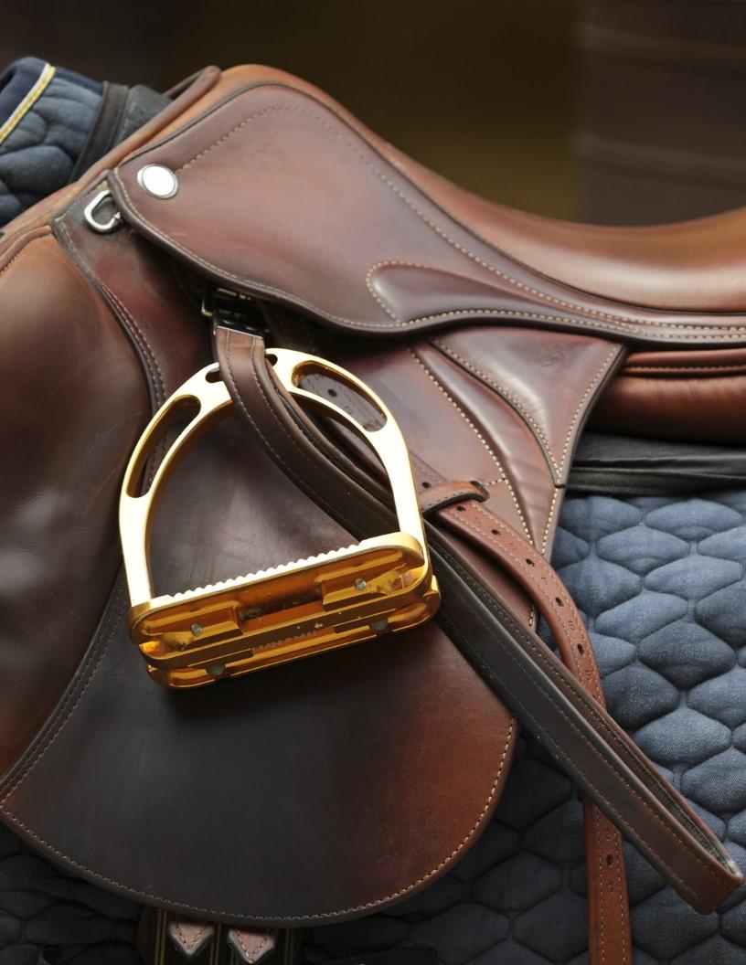 Equestrian Equipment Market Size- North America, Europe, APAC, South America, Middle East and Africa - US, China, Canada, UK, Australia, Germany, Japan, France, Italy, India - Growth and Forecast Report 2024-2028