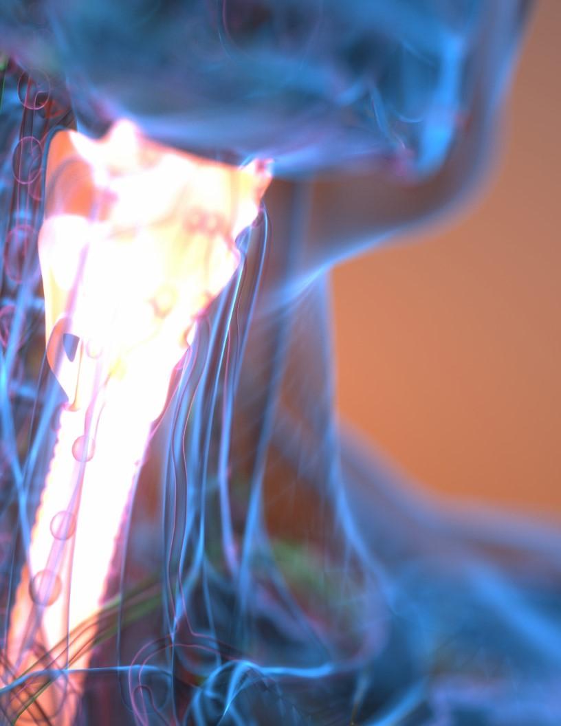 Hyperparathyroidism Market Size - North America, Europe, Asia, Rest of World (ROW) - US, China, Germany, UK, France, India, Japan, Brazil, Italy, South Korea - Trends and Forecast Report 2024-2028