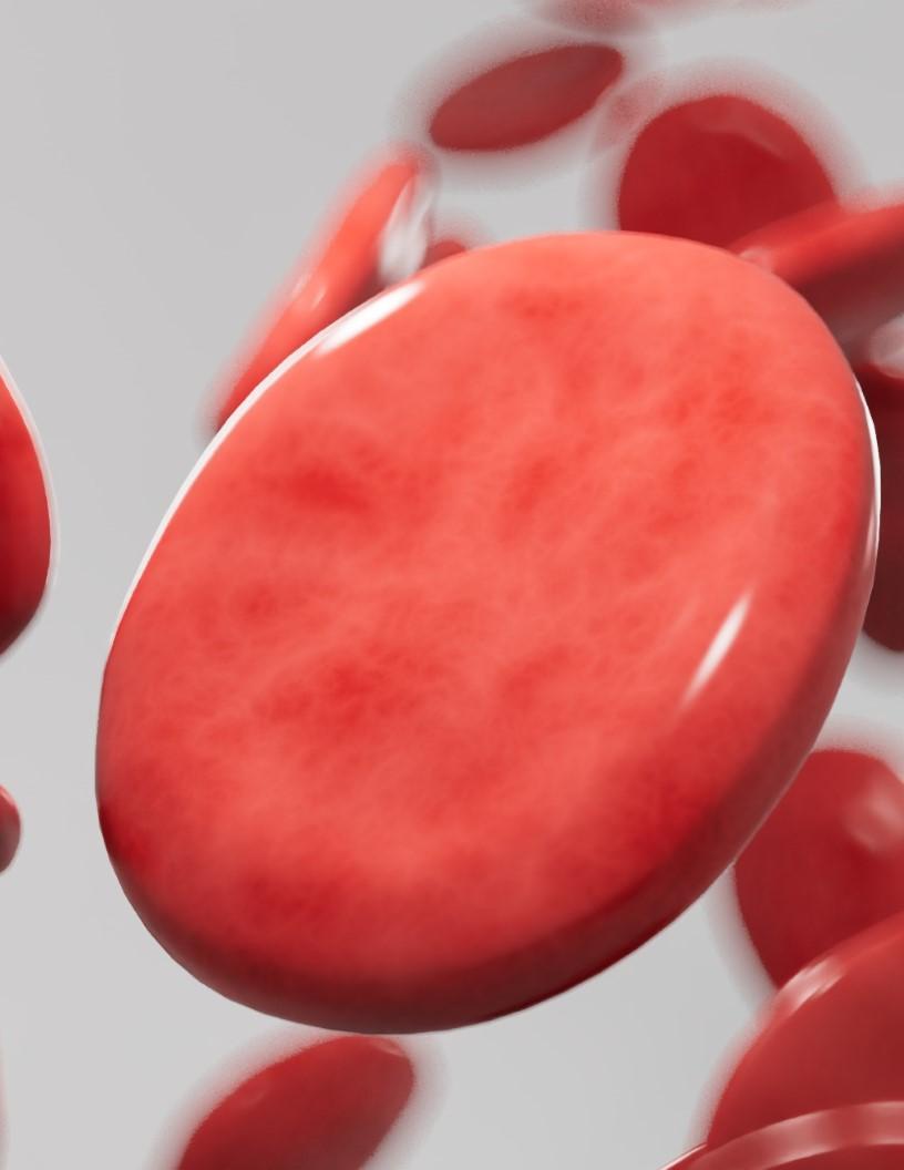 Rare Hematology Market Analysis North America, Europe, Asia, Rest of World (ROW) - US, China, UK, Germany, Japan, India, France, Italy, South Korea, Singapore - Size and Forecast 2024-2028