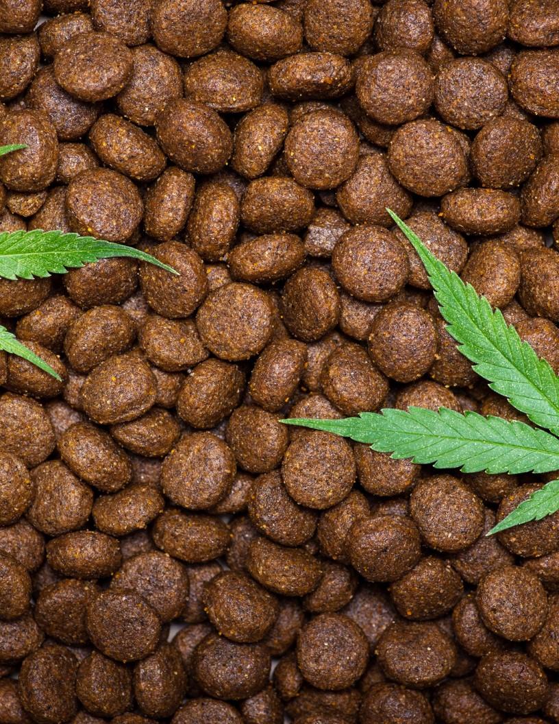 CBD Pet Products Market Analysis North America, Europe, APAC, South America, Middle East and Africa - US, Canada, Mexico, UK, Australia, Germany, Brazil, France, The Netherlands, Switzerland - Size and Forecast 2024-2028