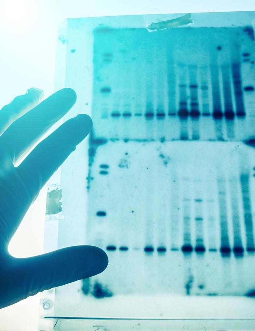 Preclinical Animal Imaging Market Analysis North America, Europe, Asia, Rest of World (ROW) - US, China, Germany, Japan, UK, India, France, Canada, Brazil, Australia - Size and Forecast 2024-2028