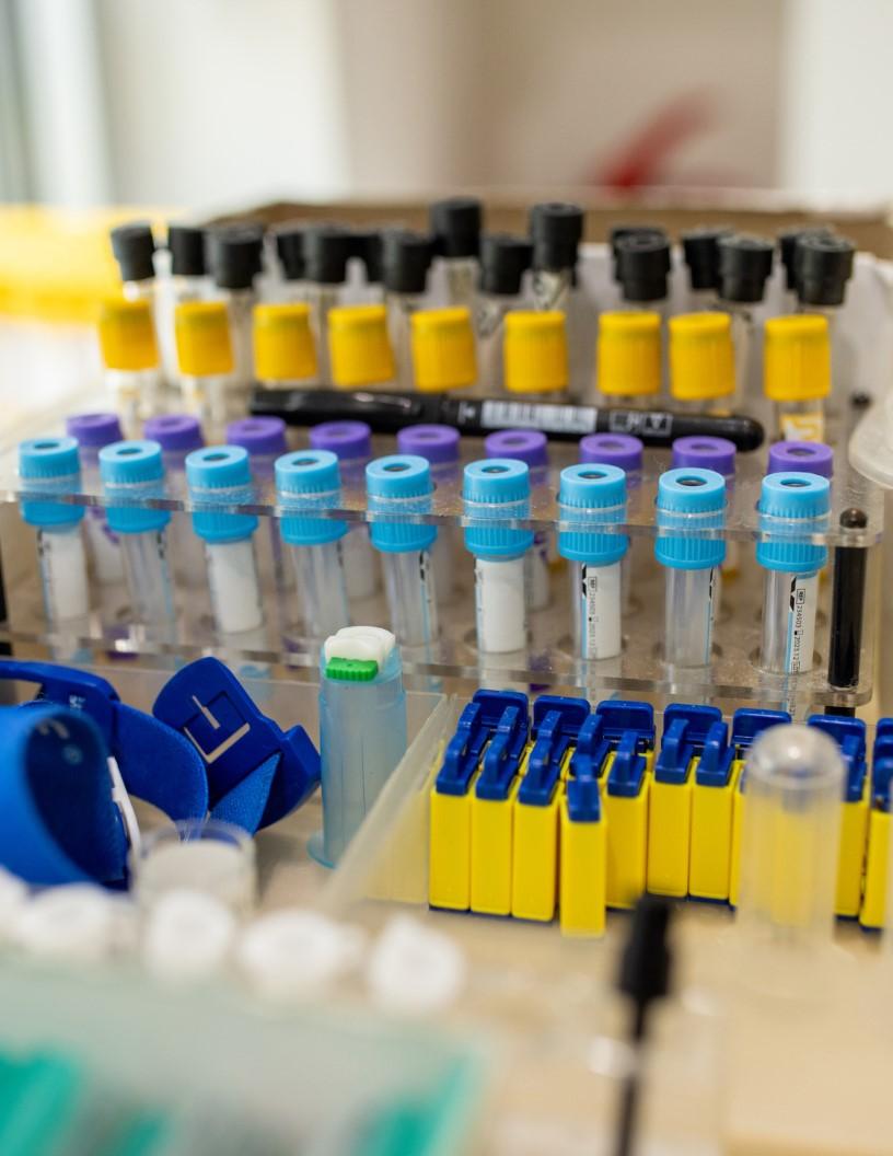 Safety Blood Collection Needle Market Analysis North America, Europe, Asia, Rest of World (ROW) - US, Germany, UK, China, France, Canada, Japan, Spain, Italy, India - Size and Forecast 2024-2028