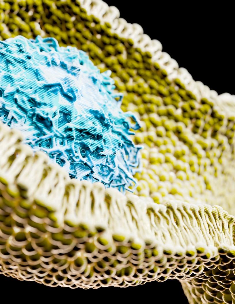 Lipid Nanoparticles Market Analysis North America, Europe, Asia, Rest of World (ROW) - US, China, UK, Germany, Japan, France, Spain, South Korea, Canada, India - Size and Forecast 2024-2028