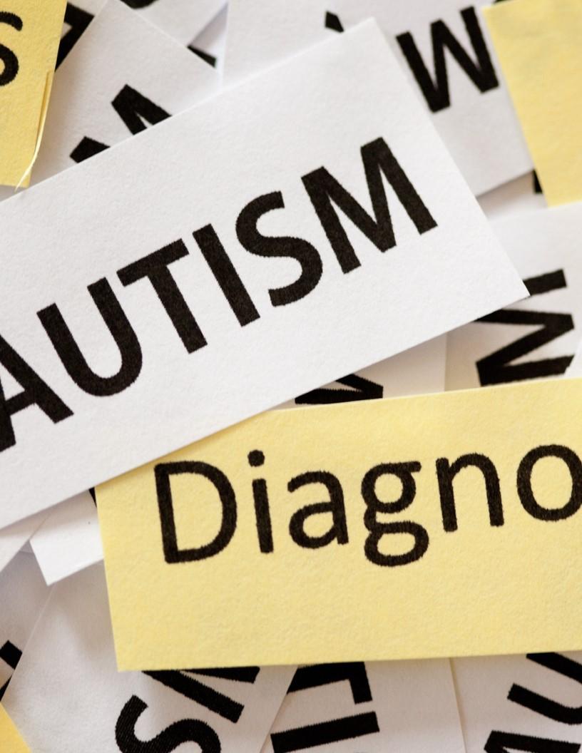 Autism Spectrum Disorder Market Size - North America, Europe, Asia, Rest of World (ROW) - US, UK, Germany, France, China, Canada, Italy, India, Japan, Australia - Trends and Forecast Report 2025-2029