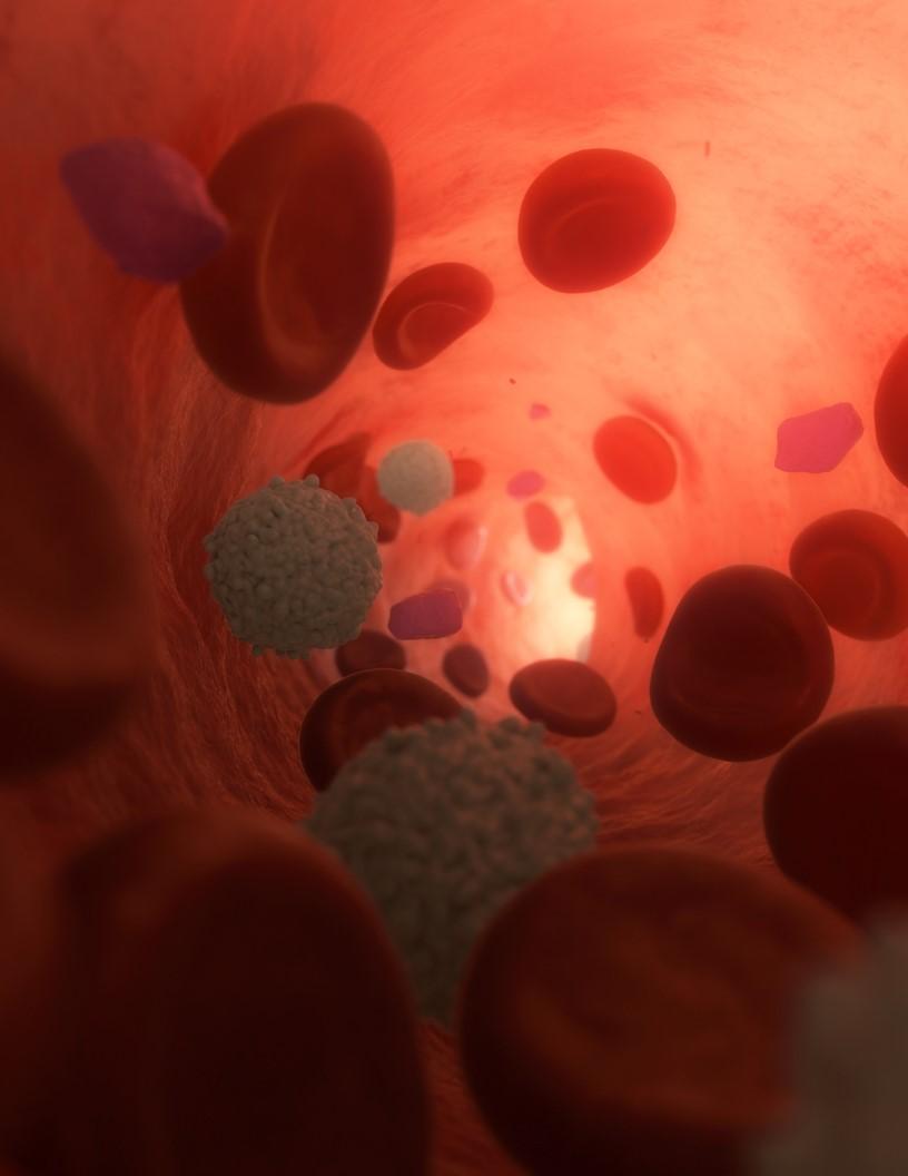 Platelet Rich Plasma Market Analysis North America, Europe, Asia, Rest of World (ROW) - US, Germany, China, UK, Japan, Canada, France, India, Australia, South Korea - Size and Forecast 2024-2028