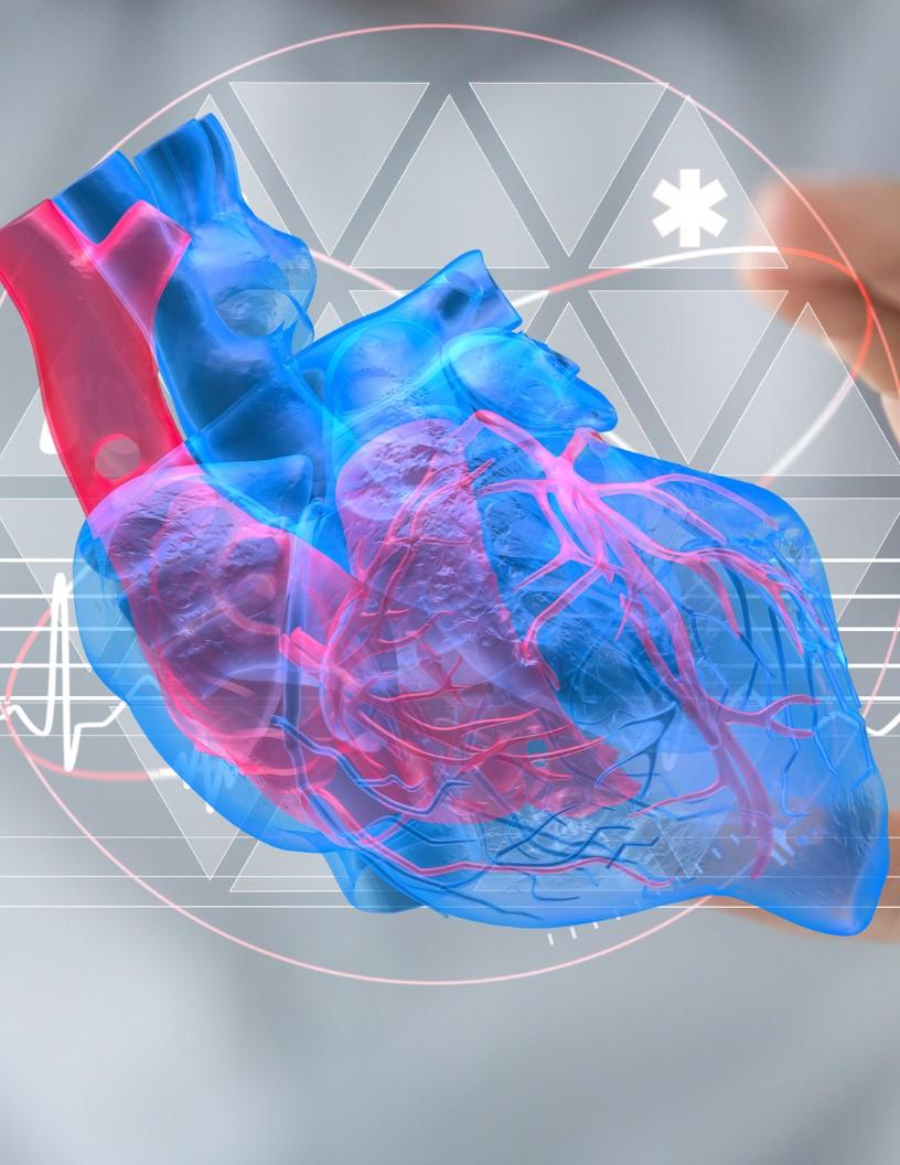 Healthcare Digital Twins Market Analysis North America, Europe, Asia, Rest of World (ROW) - US, Germany, UK, China, Japan, India, France, Canada, Australia, Italy - Size and Forecast 2025-2029