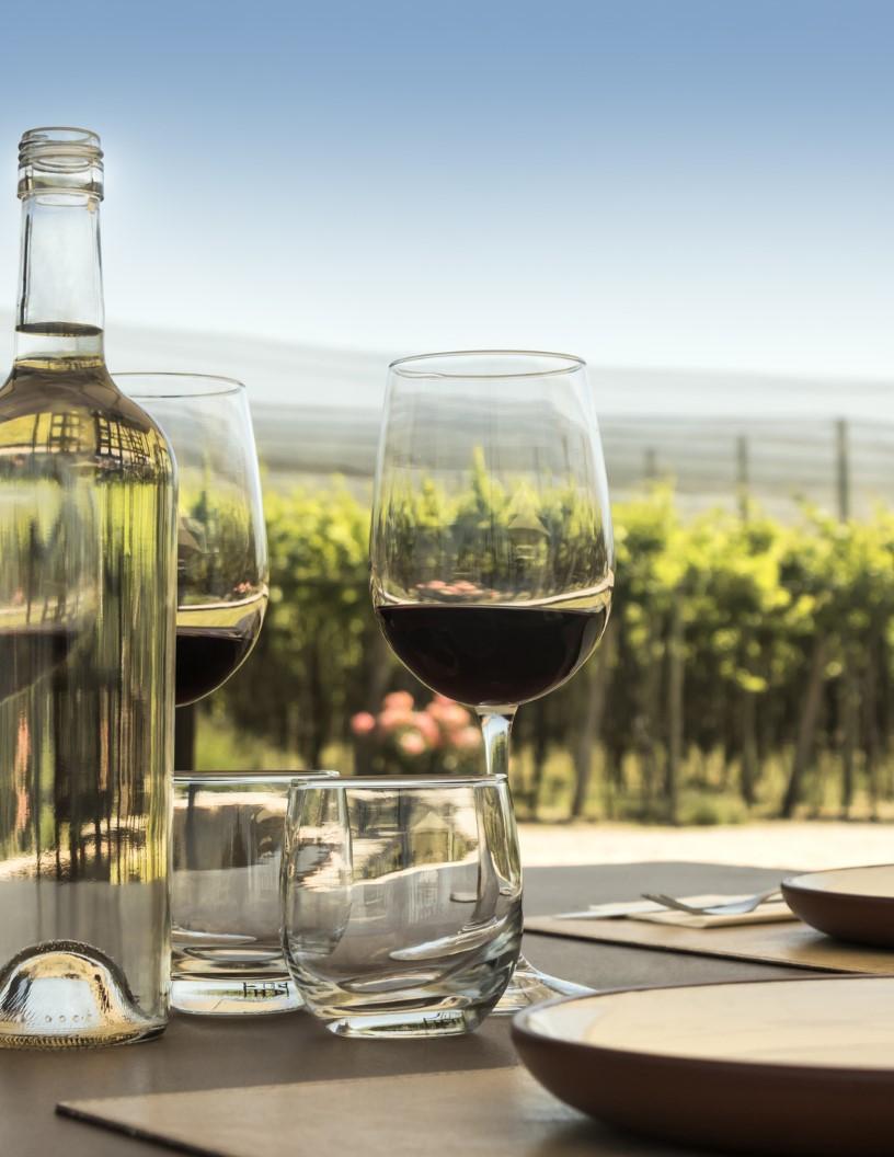 Wine Tourism Market Analysis, Size, and Forecast 2025-2029: North America (US and Mexico), Europe (France, Germany, Italy, Norway, and UK), Middle East and Africa (UAE), APAC (Australia, China, India, Japan, and South Korea), South America (Brazil), and Rest of World (ROW)