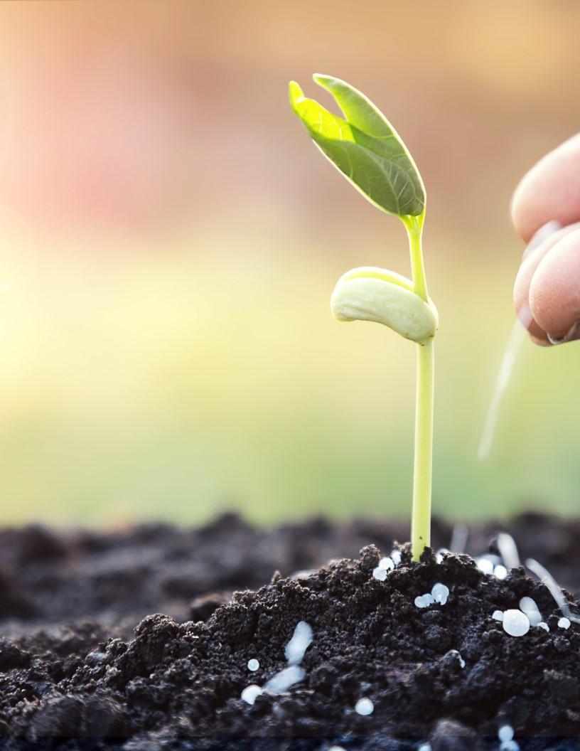 Singapore Urea Market Analysis, Size, and Forecast 2025-2029